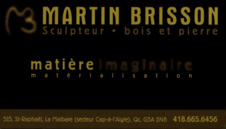 Carte d'Affaire Martin Brisson